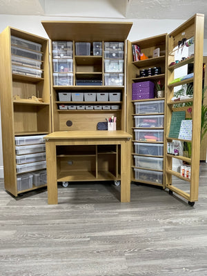 Allstore Storeaway Knightshayes S4C