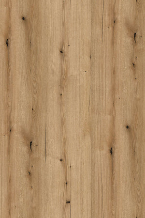 *NEW* Coast Evoke Oak